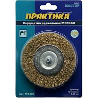 кордщетка для дрели радиальная мягкая практика 100 мм (1шт.) блистер, купить metabo, купить husqvarna, купить bosch, купить makita, купить hitachi, купить hikoki, купить oregon, купить stihl